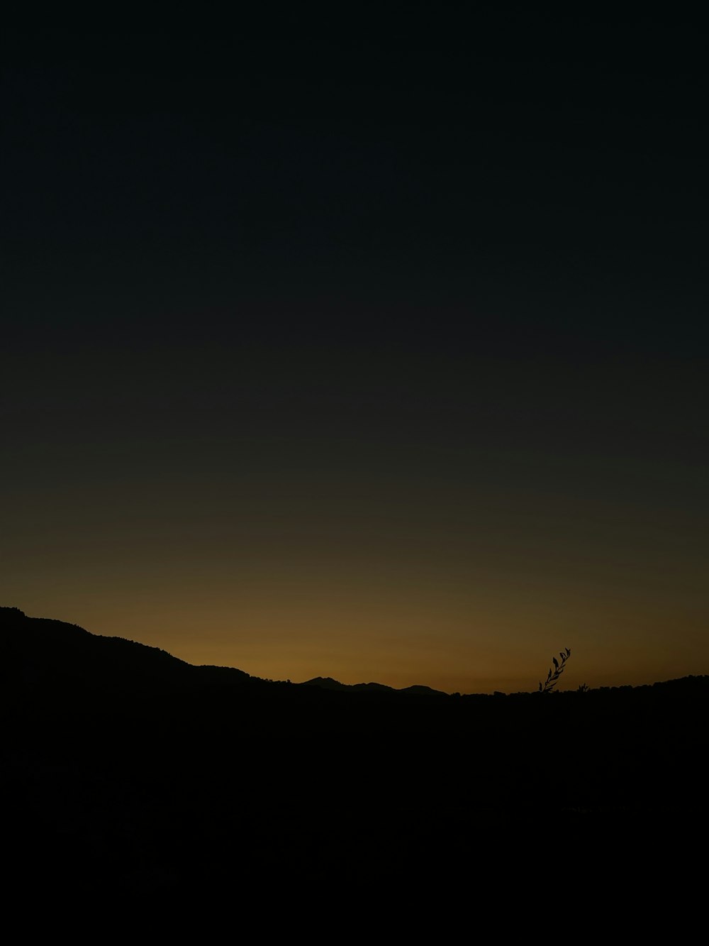 Un avion vole dans le ciel au coucher du soleil