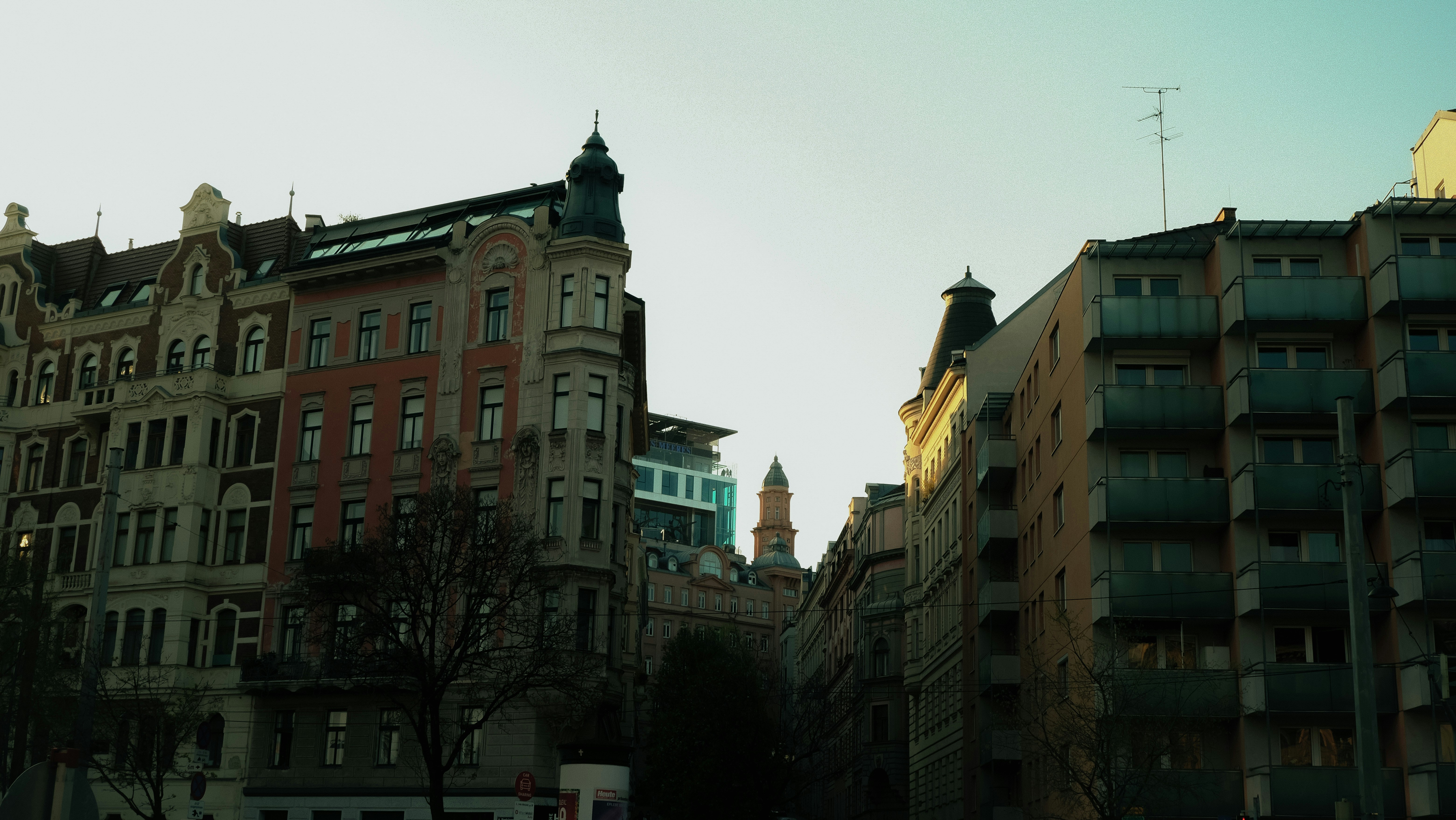 Photo by kmondschein