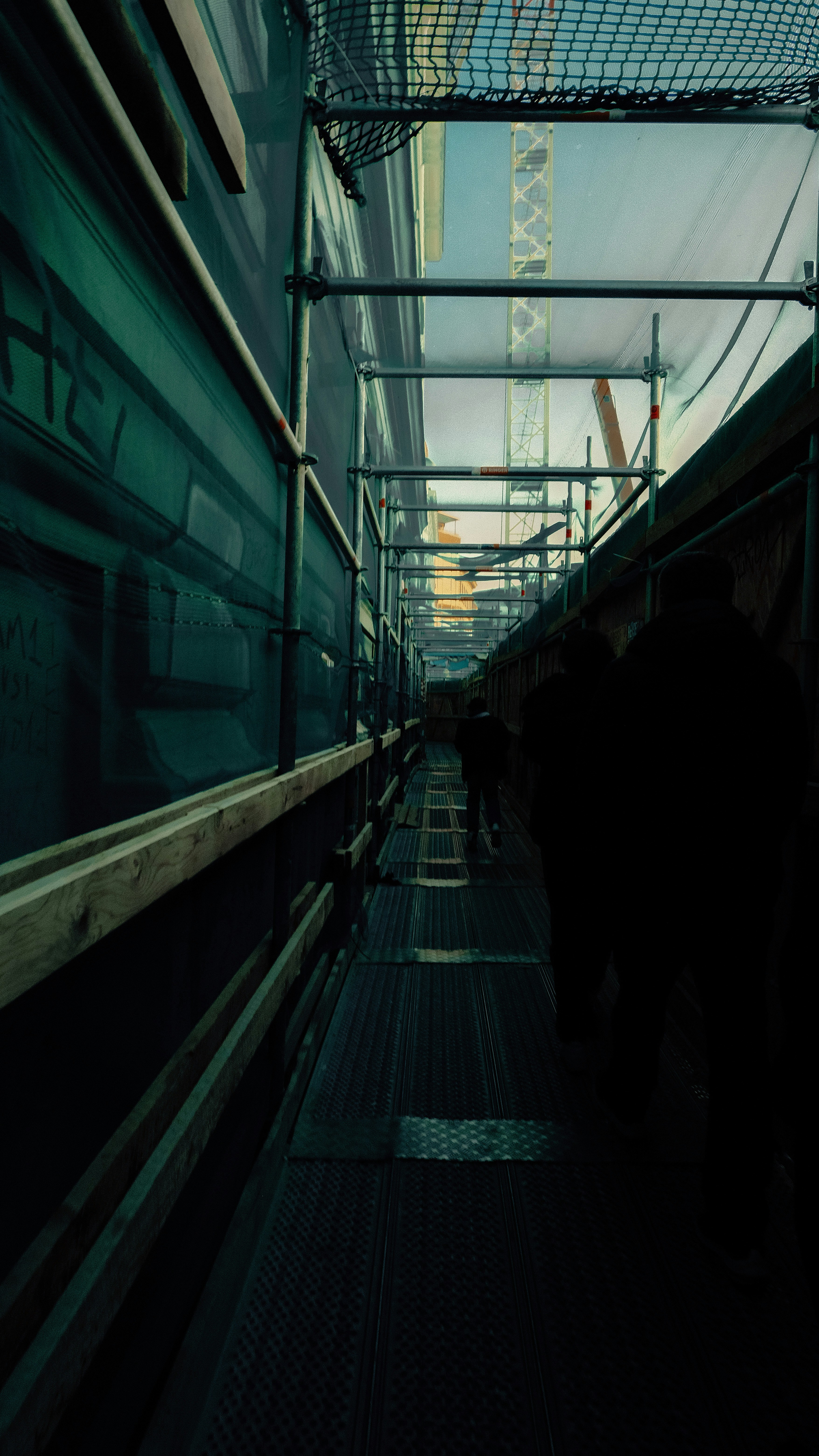 Photo by kmondschein