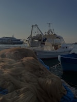 Fishermen unloading their daily catch from a small boat at dawn.