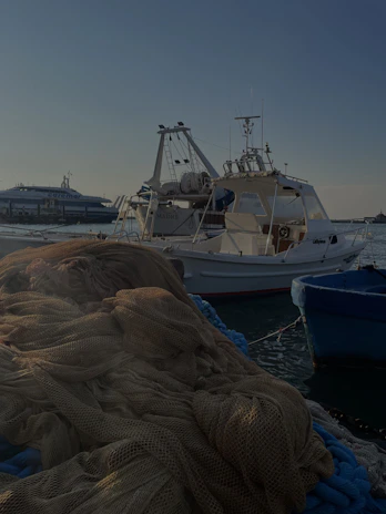 A vibrant fishing boat at dawn with nets full of fresh seafood.