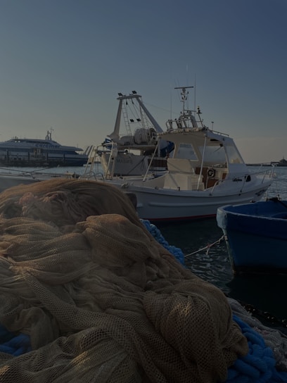 A vibrant photo of fishermen unloading fresh fish from their boat at dawn.