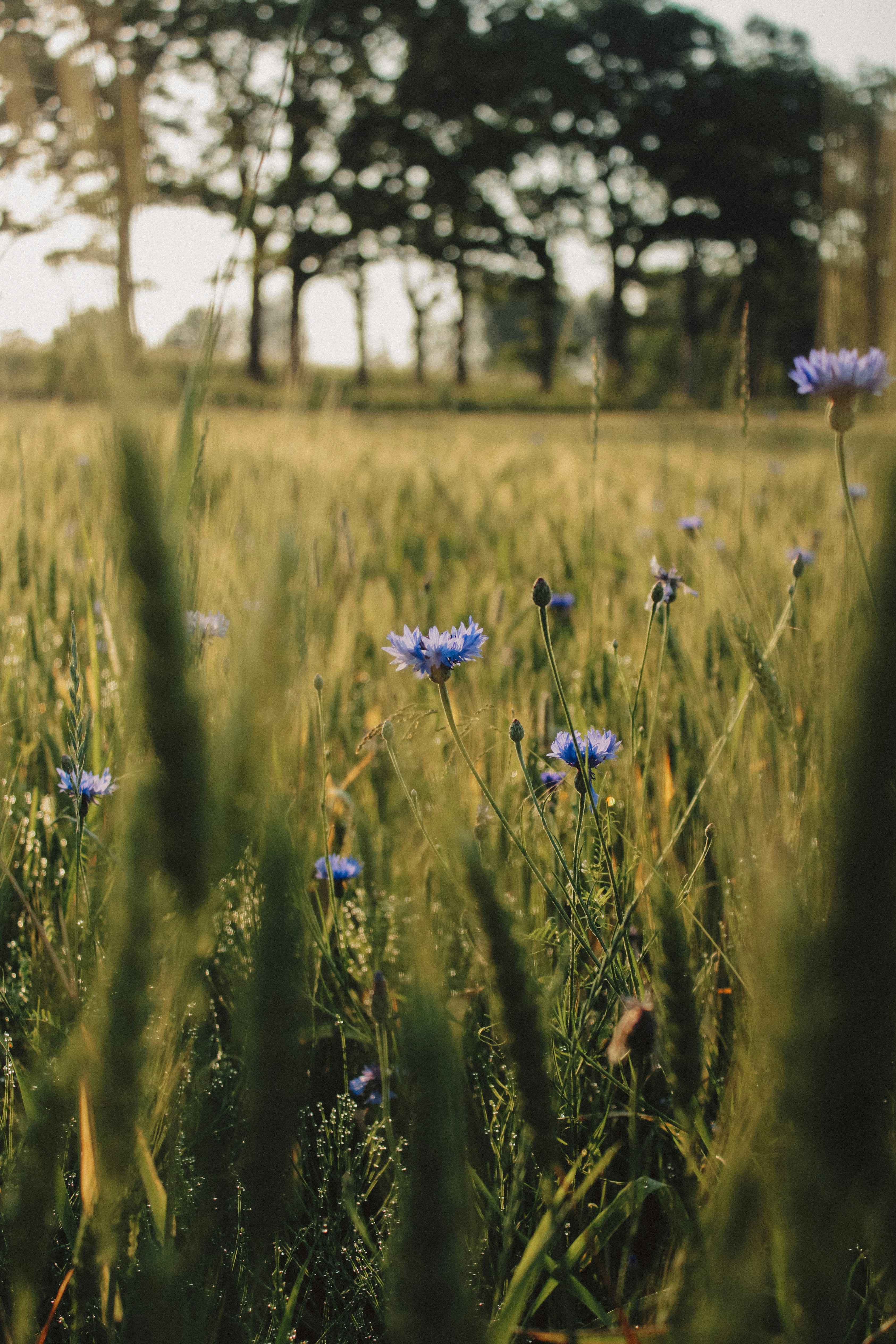 Photo by katriinaegliitee