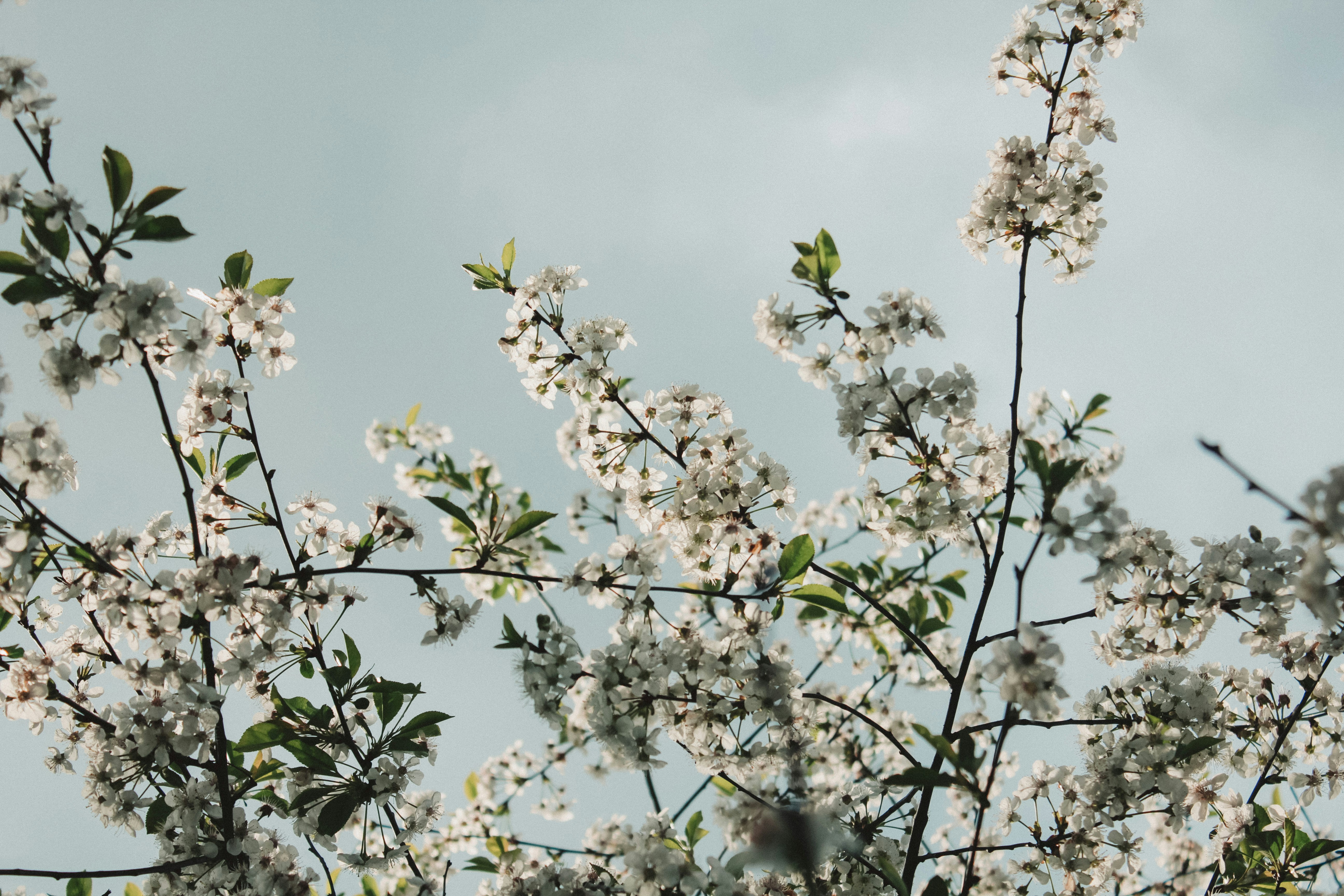 Photo by katriinaegliitee