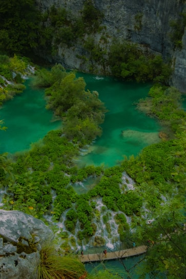 A beautiful view of the eco-tourism site with lush greenery.