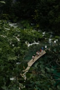 A group of hikers crossing a wooden bridge over a clear river in a lush Atlantic Forest