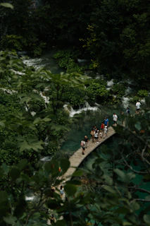 A group of hikers crossing a wooden bridge over a crystal-clear mountain stream surrounded by lush greenery