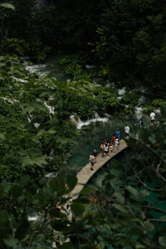 A group of hikers crossing a wooden bridge over a clear river in a lush Atlantic Forest