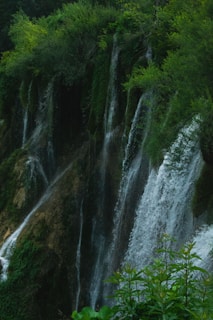 A lush green landscape features cascading waterfalls surrounded by dense foliage and vegetation. The water flows down mossy rocks, creating an environment rich with natural beauty and tranquility.
