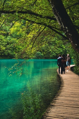 Guests enjoying a peaceful walk along a wooded trail near the waterfalls.