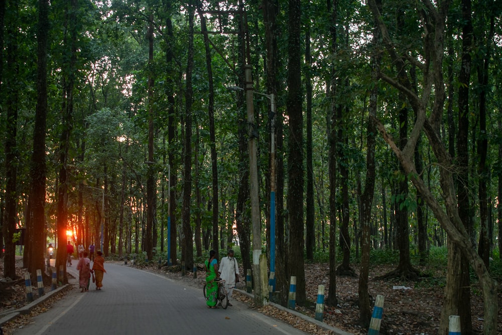 a group of people walking down a street next to a forest