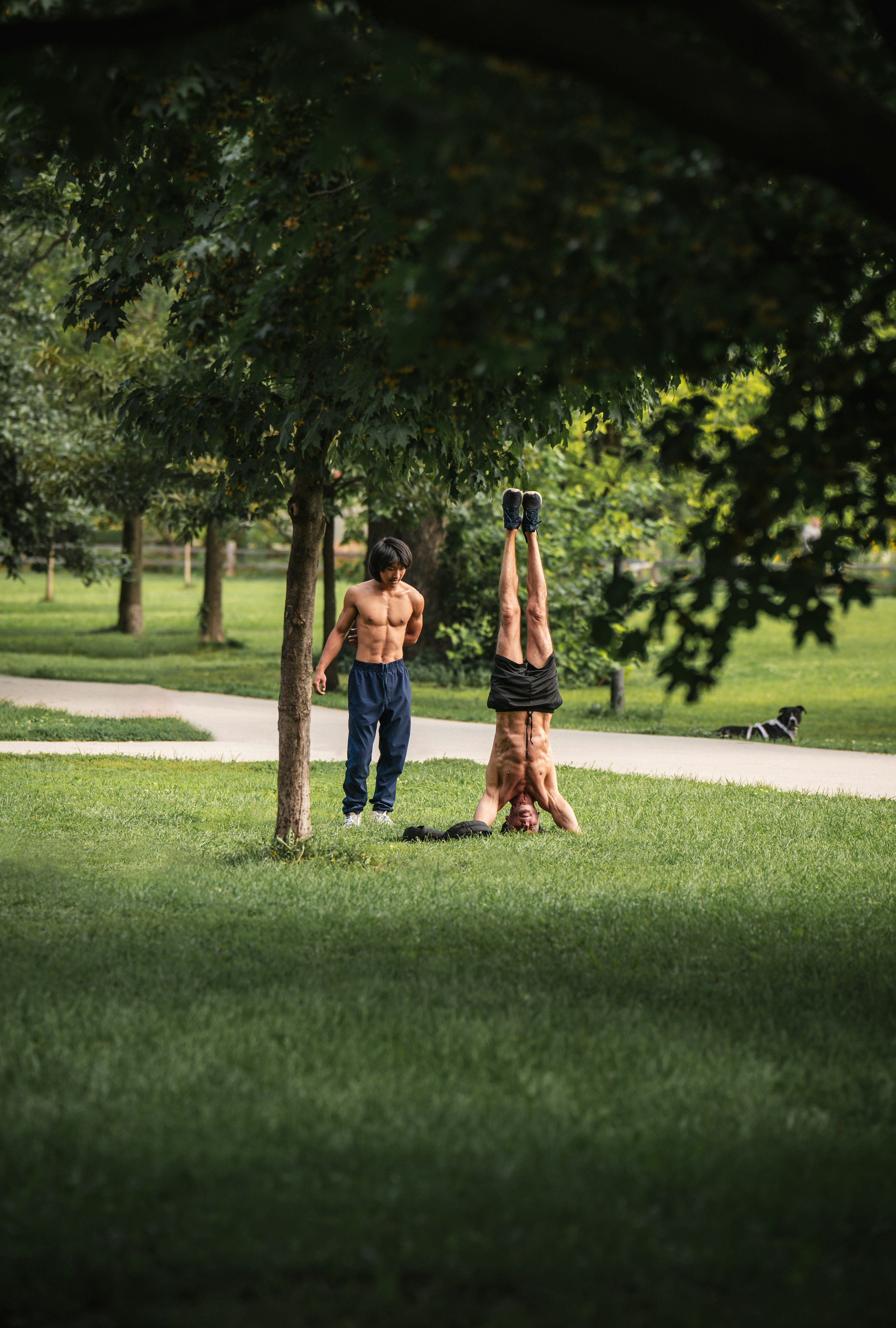 A couple stretching together in a park at morning.