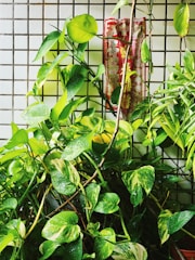A vibrant display of fresh flowers and green plants arranged beautifully in a corporate office setting.