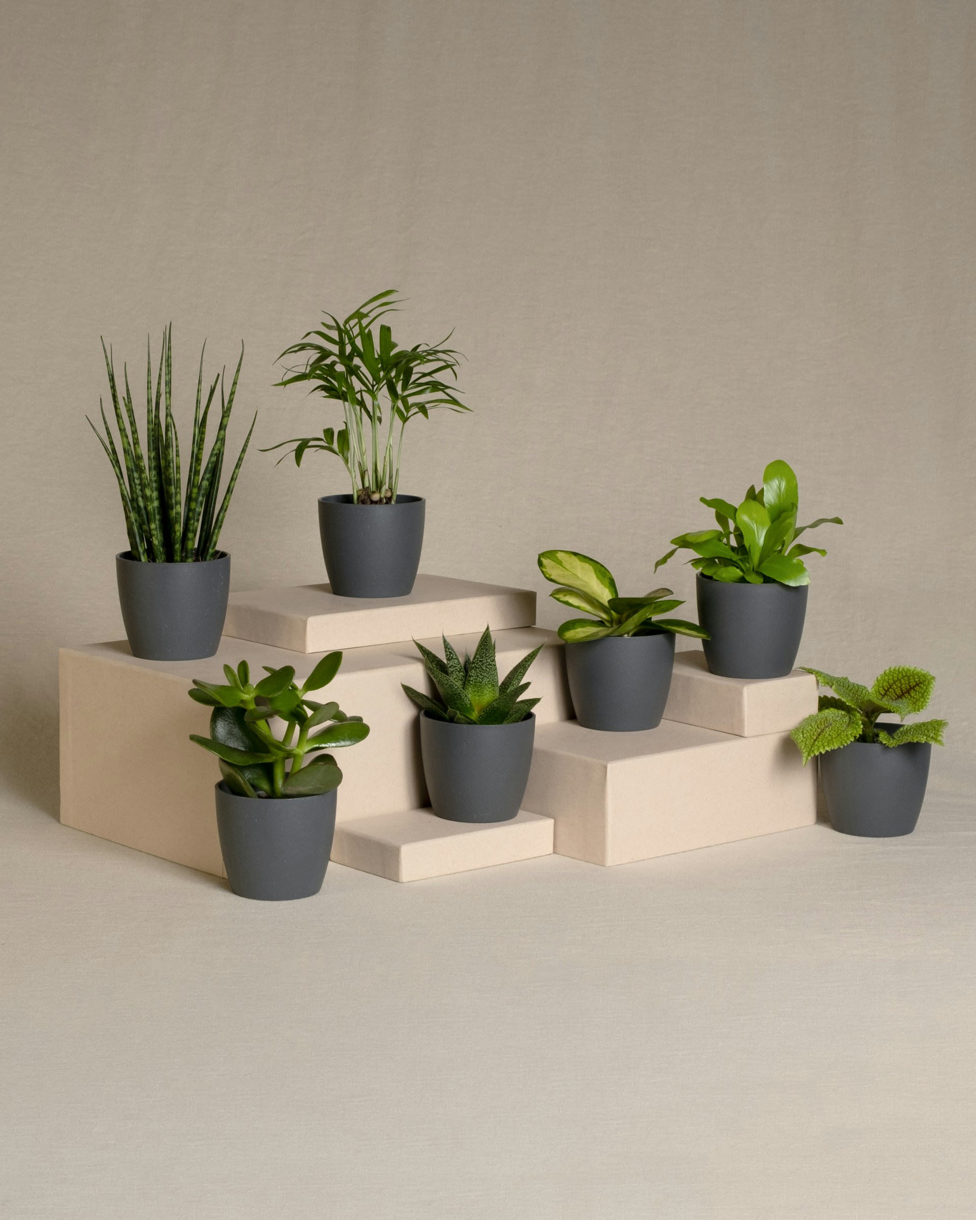 a group of potted plants sitting on top of each other