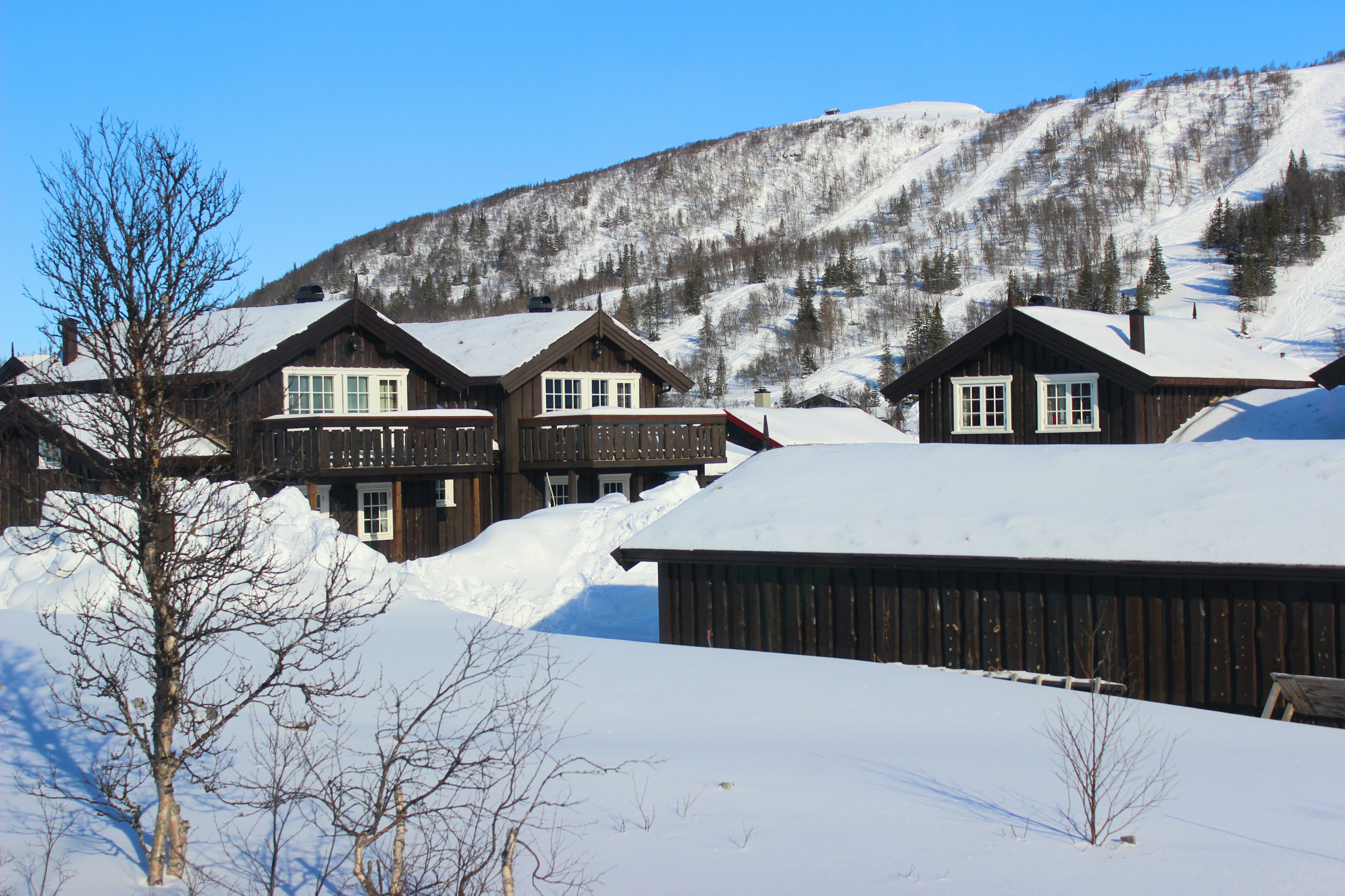 Photo by juliasilvestrow