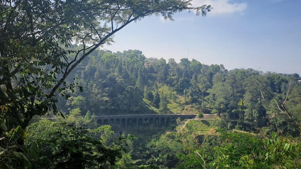 a bridge over a river surrounded by trees