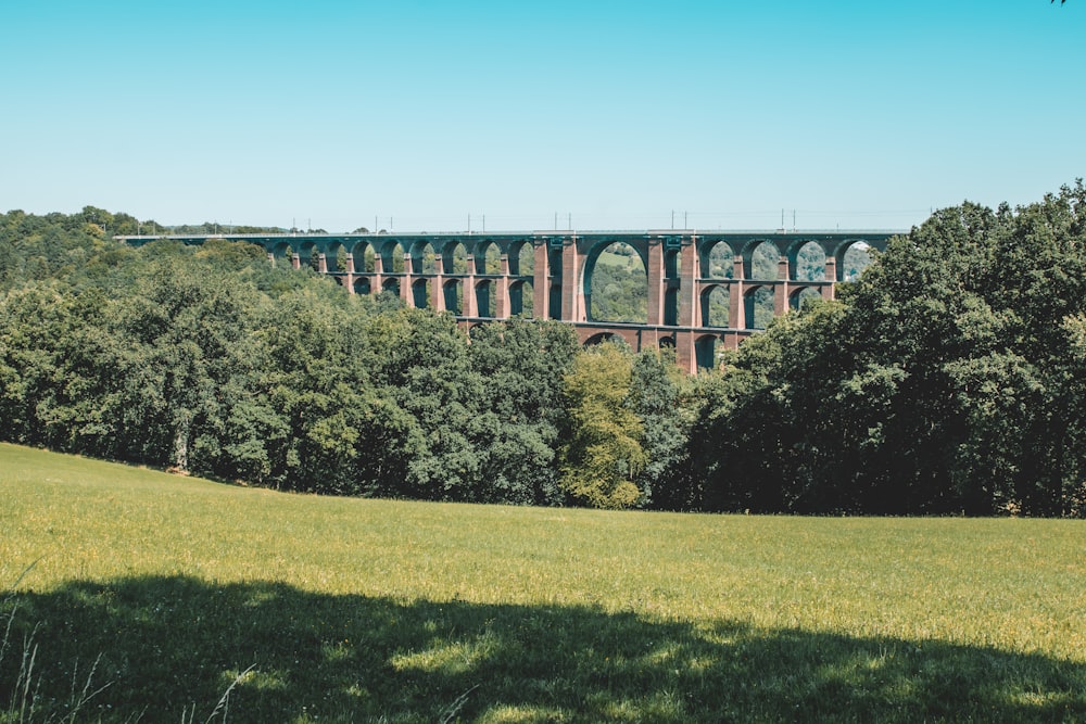 a large bridge over a lush green forest