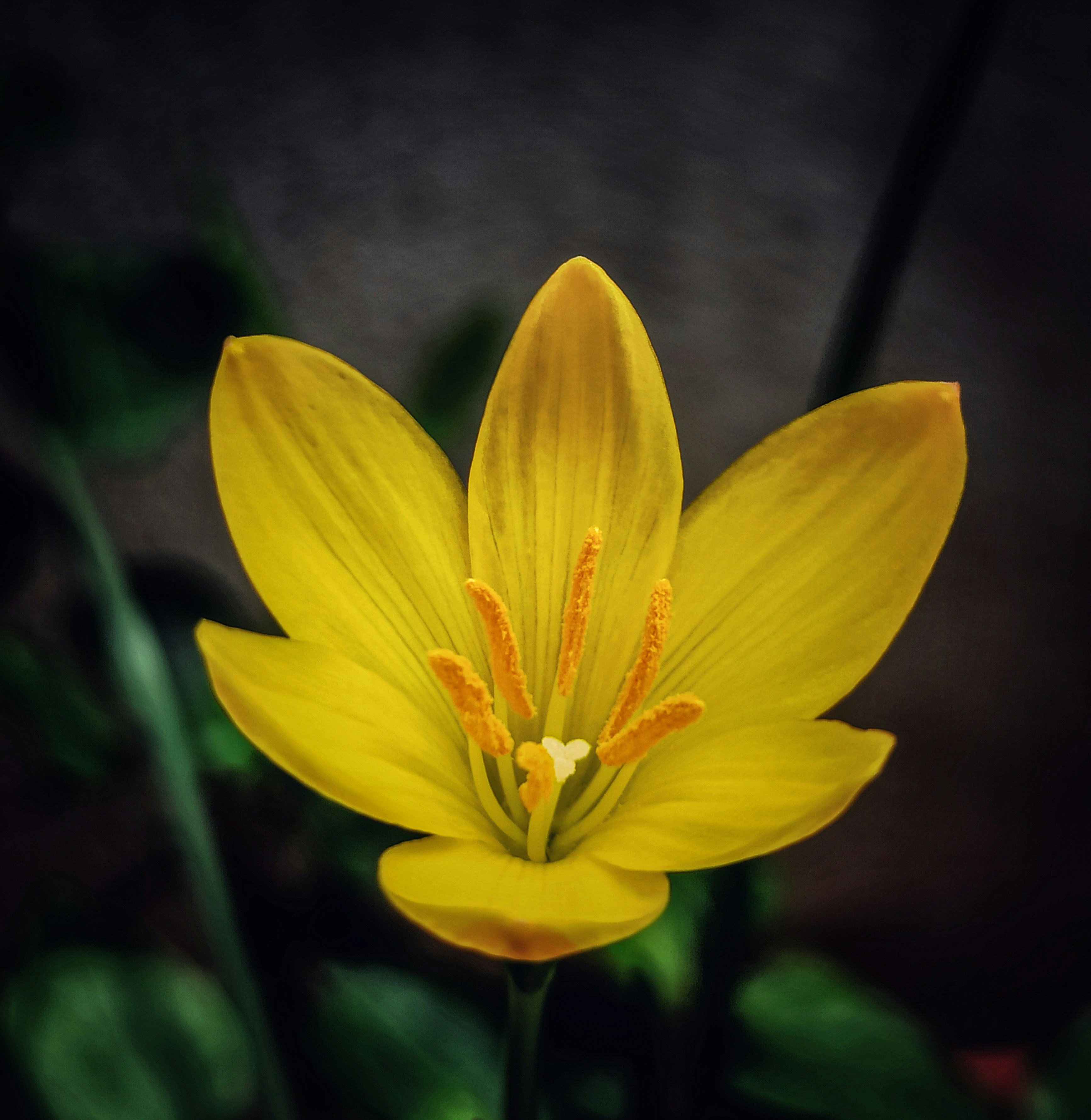 Photo by dollyunsplash