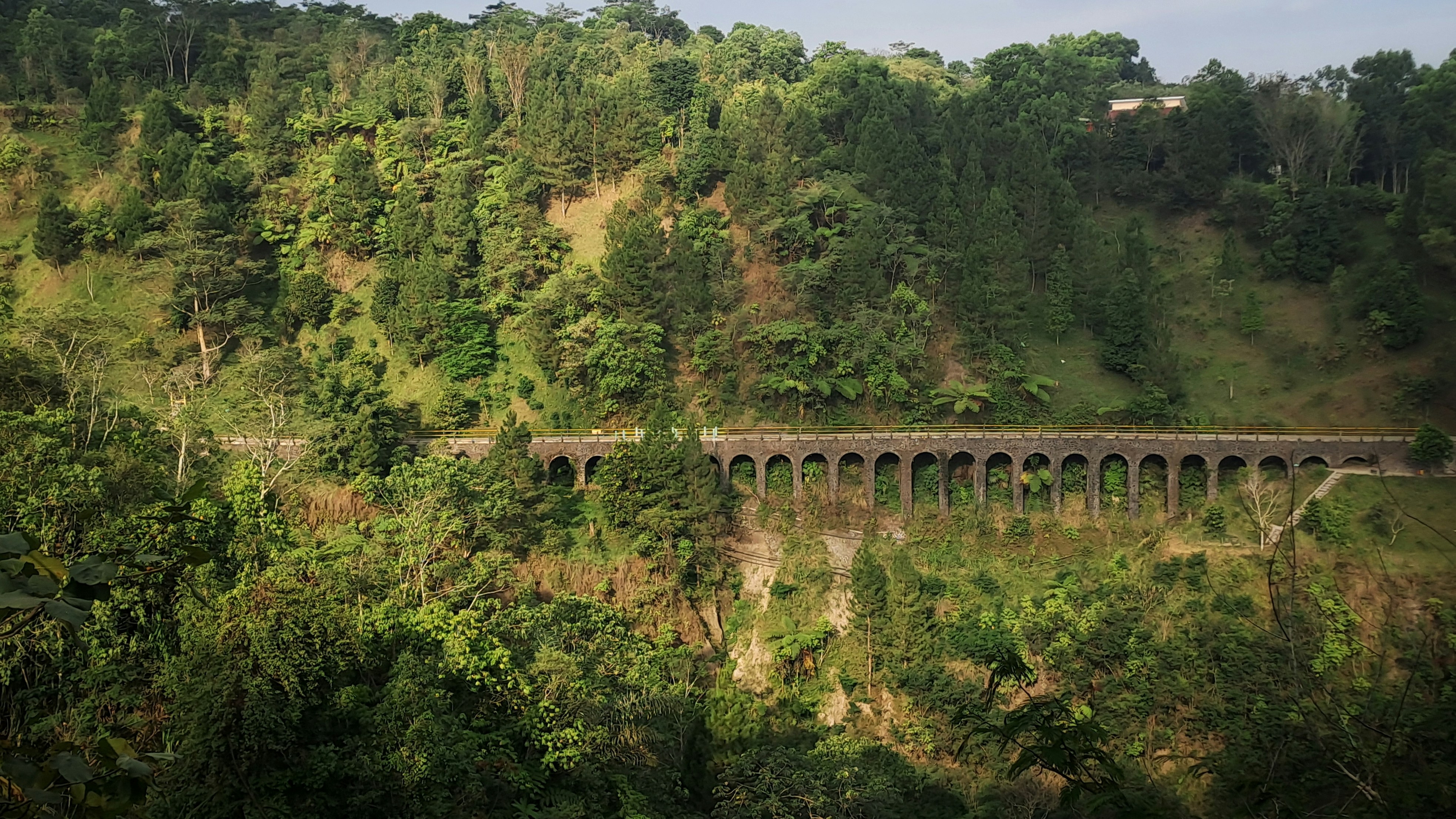 a train traveling over a bridge in the middle of a forest, Kalikuning Bridge, Sleman, Yogyakarta