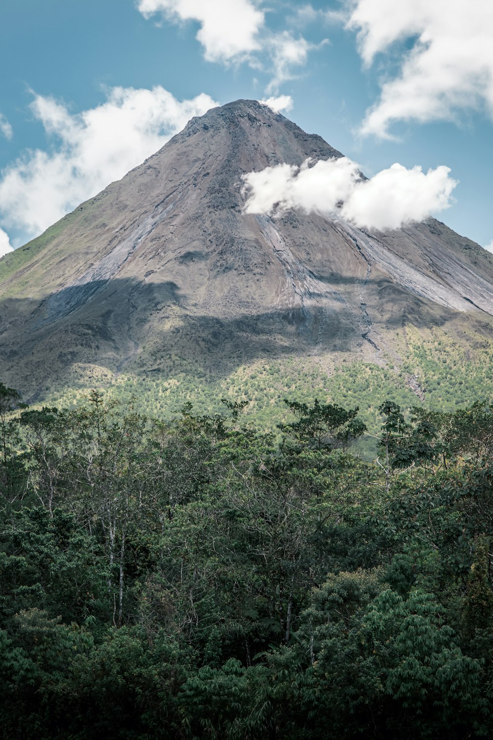 a very tall mountain with a lot of trees in front of it