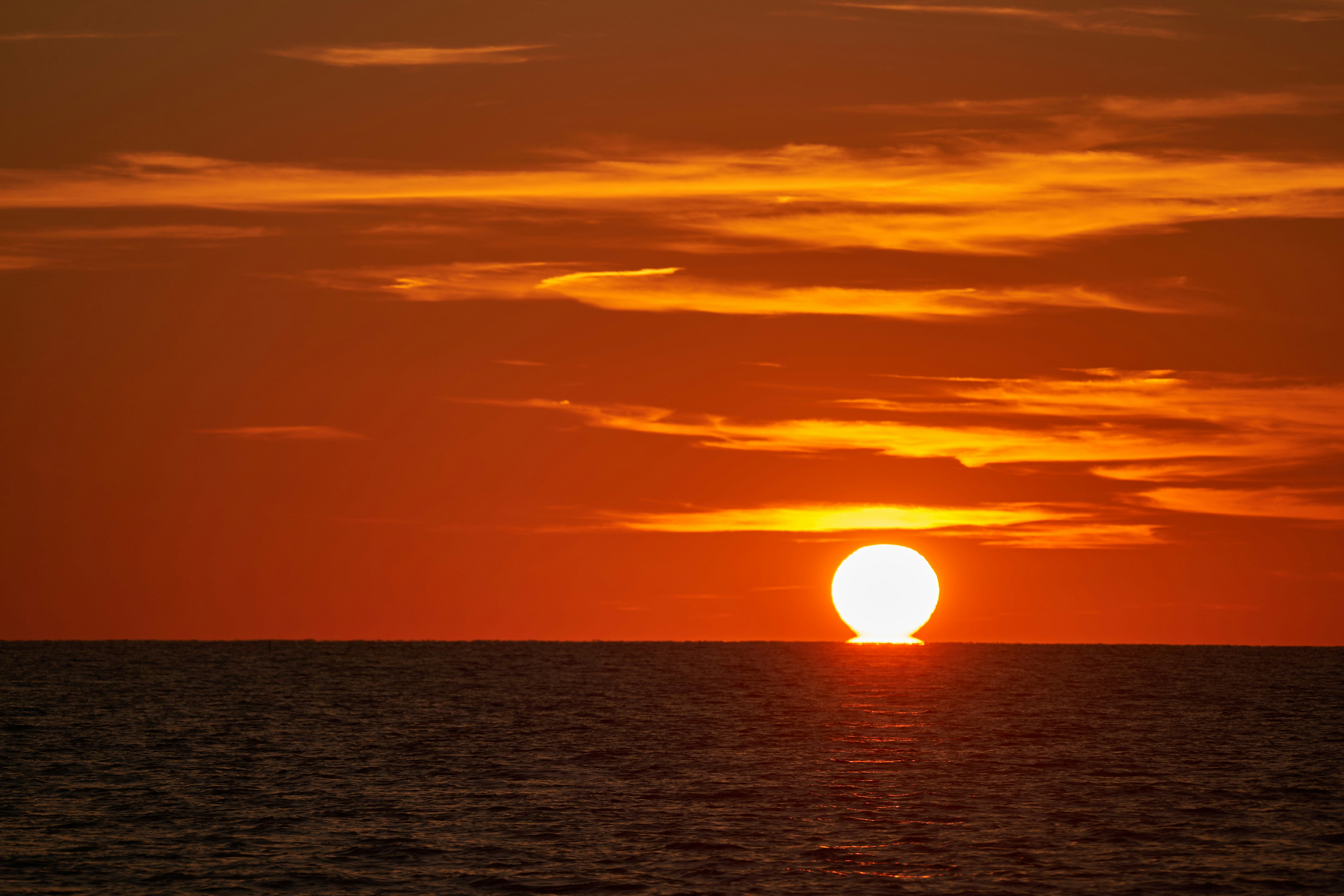 Photo by wolfgang_hasselmann