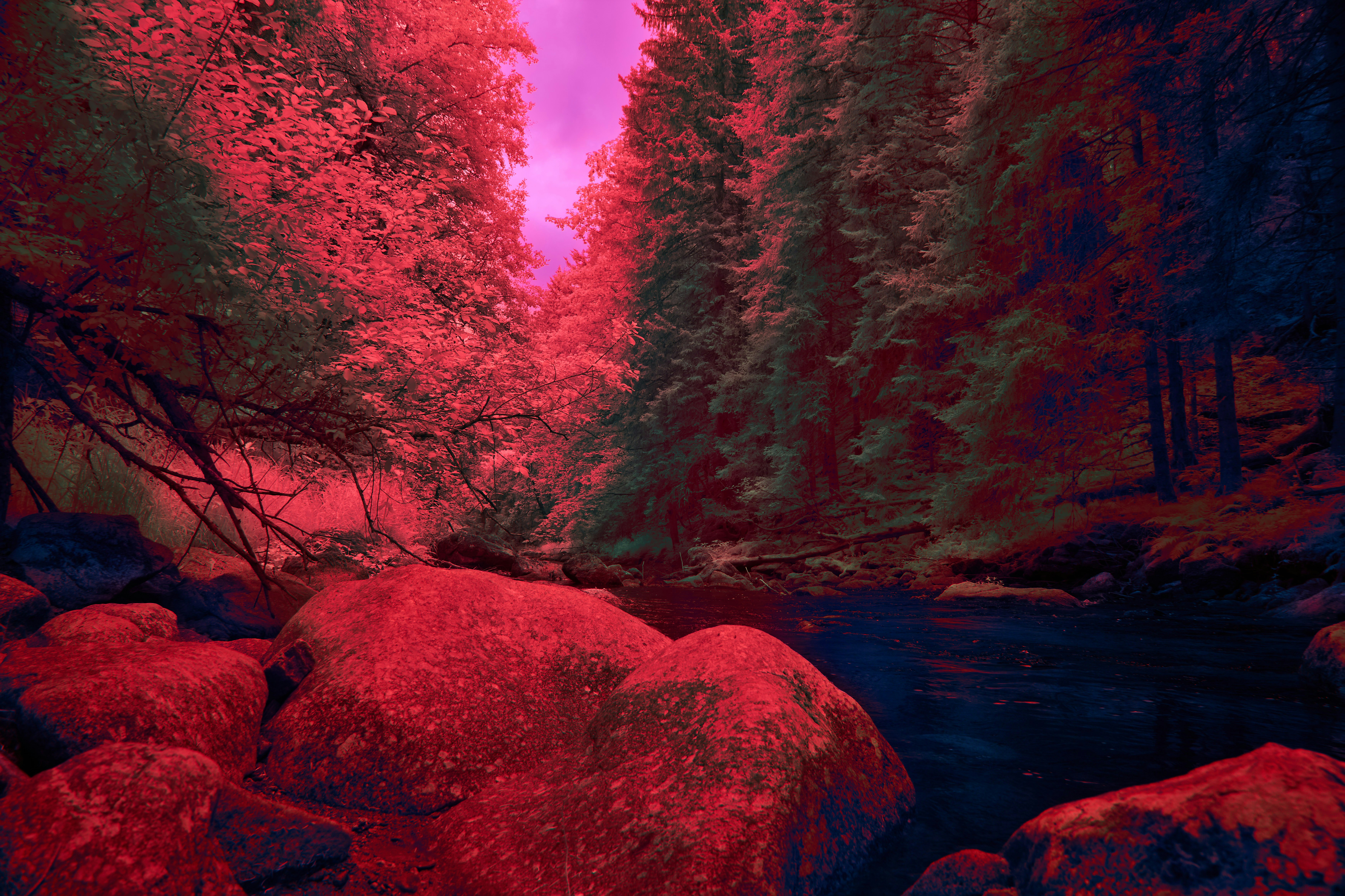 Photo by wolfgang_hasselmann