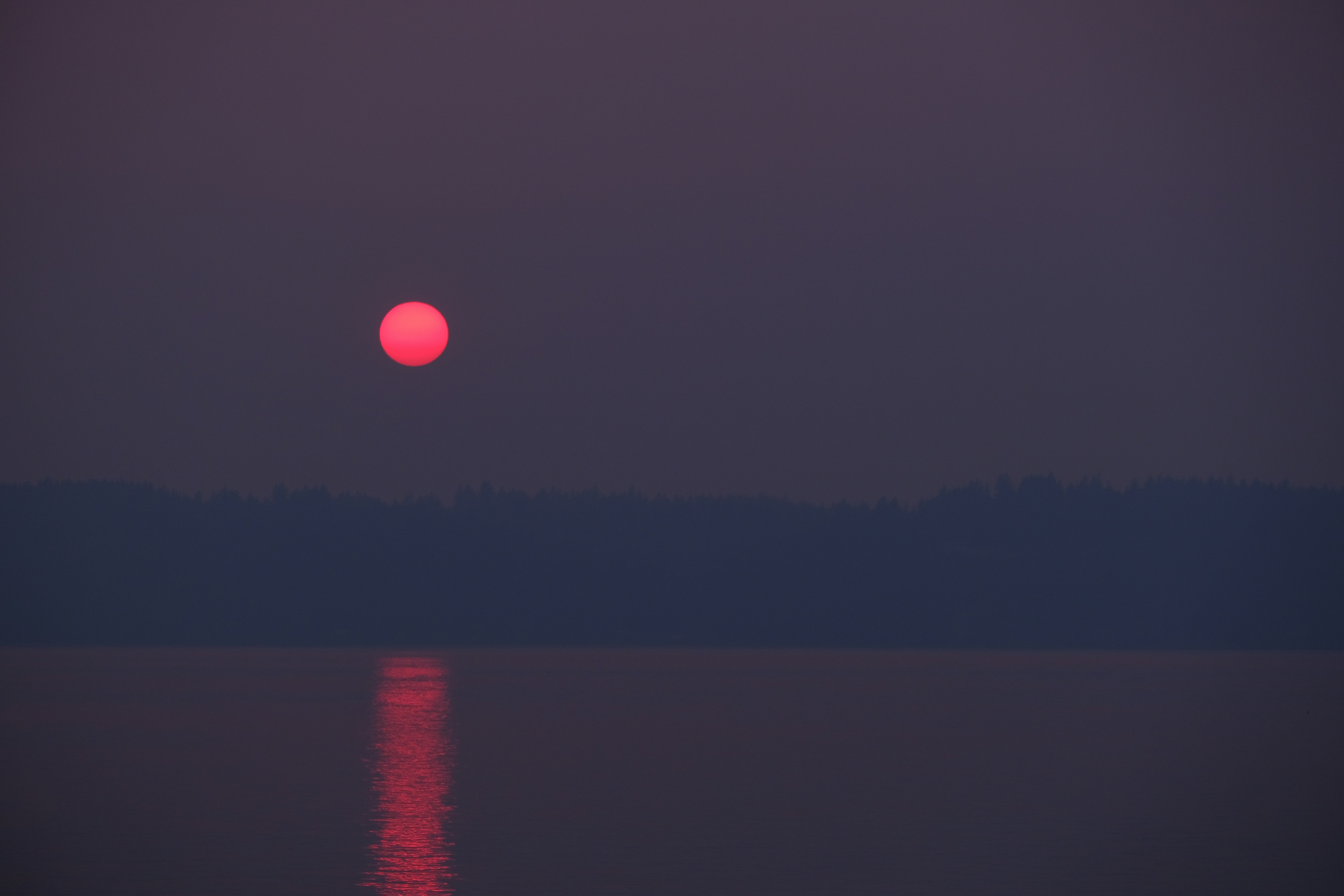 Photo by cestmoisheedy