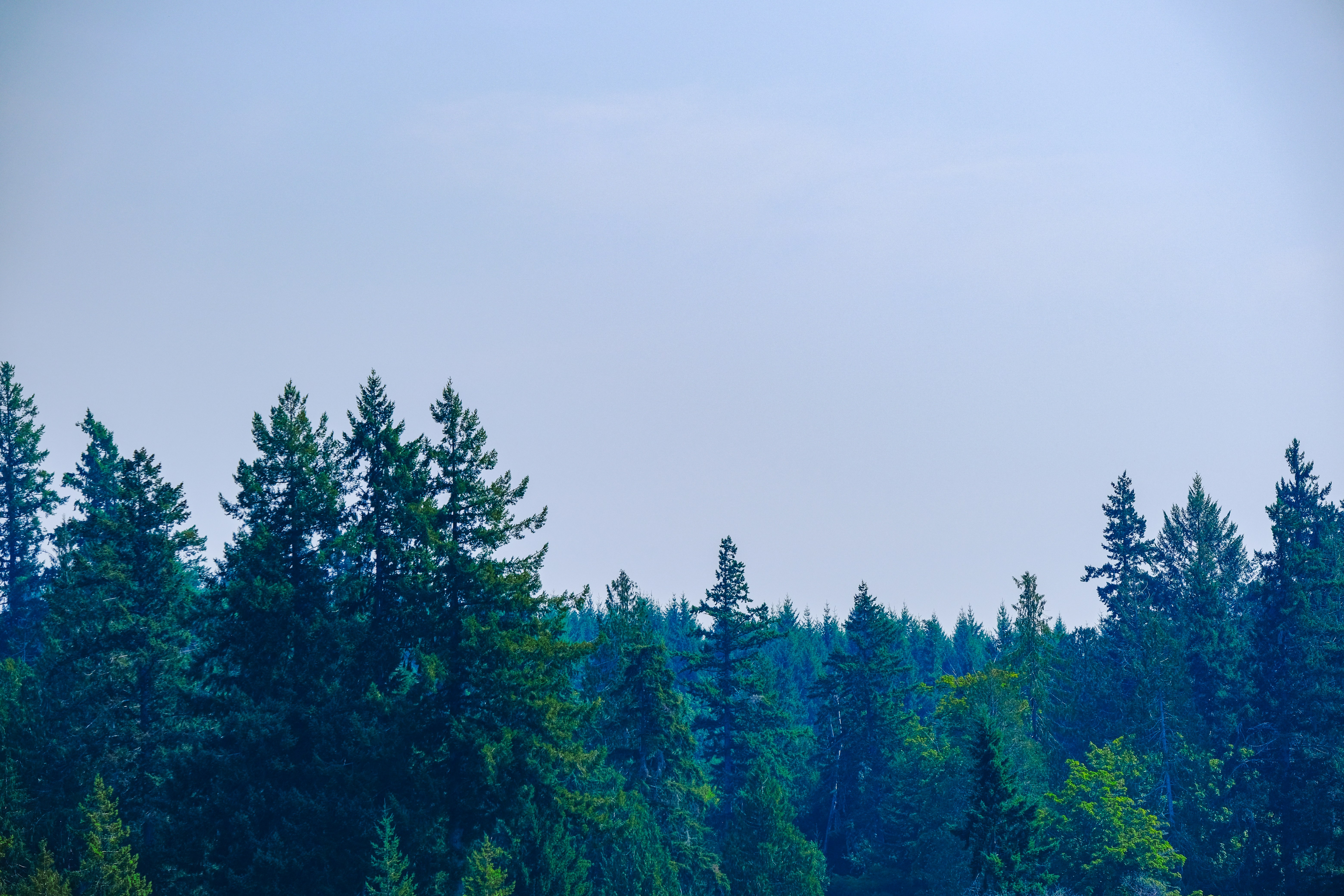 Photo by cestmoisheedy