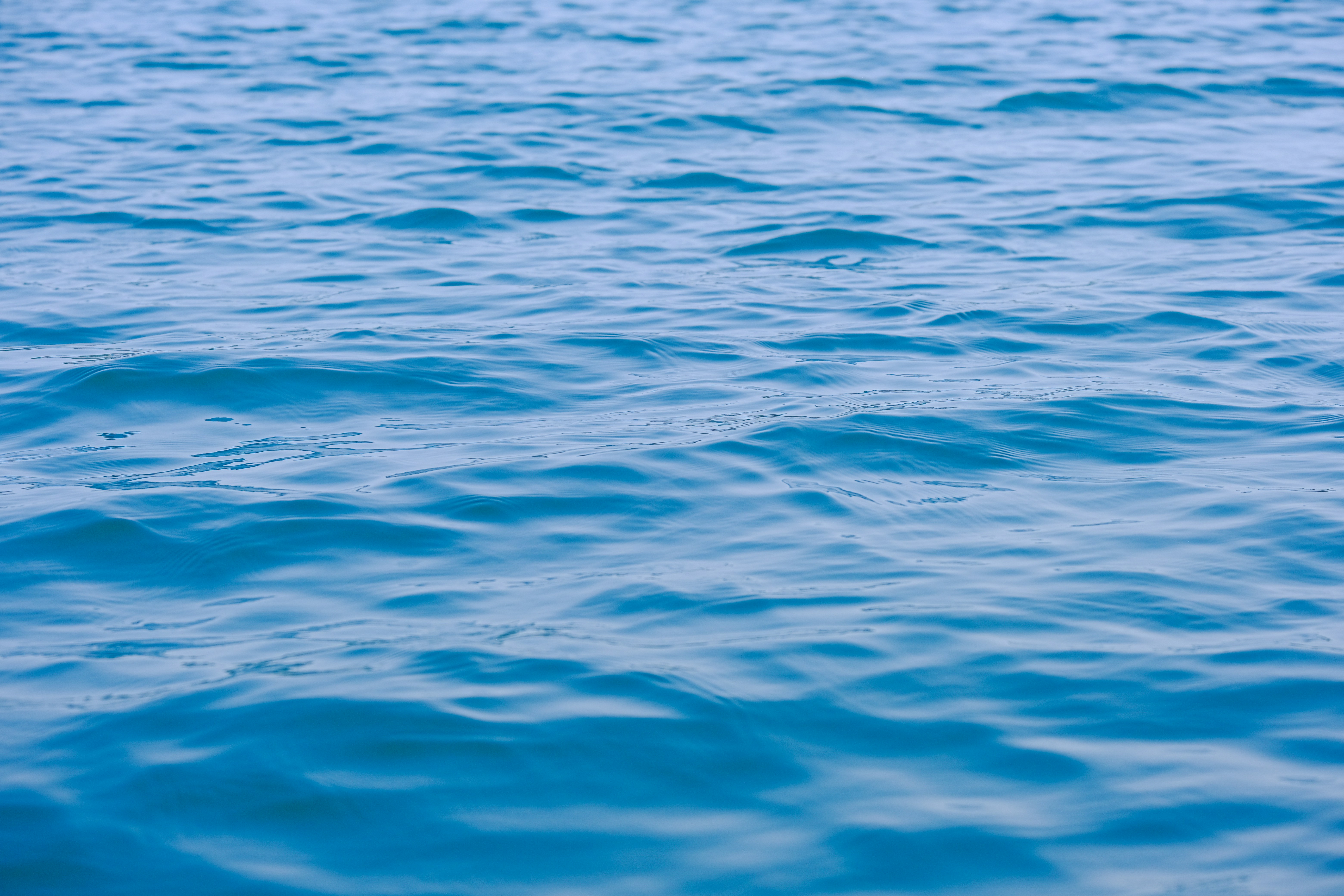 Photo by cestmoisheedy