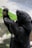 A black bear with a distinctive cream-colored patch on its chest is standing on its hind legs. The bear appears to be in full focus with a blurred background of green foliage and rocks.
