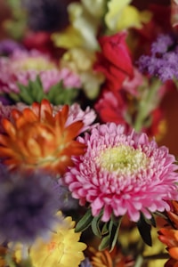 Flores Vivas