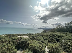 A scenic view of Goa's coastline for a relaxing backdrop.