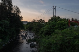A lush green forest with a rocky stream running through it. A bridge with hanging cables towers over the foliage in the background, and a red excavator is partially visible among the trees. The sky is dimly lit, likely indicating either dawn or dusk.