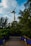 A large wind turbine stands prominently against a partly cloudy sky, surrounded by lush green trees. A wooden path bordered by fences and blue panels leads through the foliage, creating a harmonious blend of nature and technology.