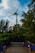 A large wind turbine stands prominently against a partly cloudy sky, surrounded by lush green trees. A wooden path bordered by fences and blue panels leads through the foliage, creating a harmonious blend of nature and technology.