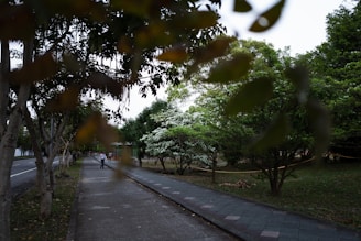 A peaceful walking trail winding through a thoughtfully planned community park.