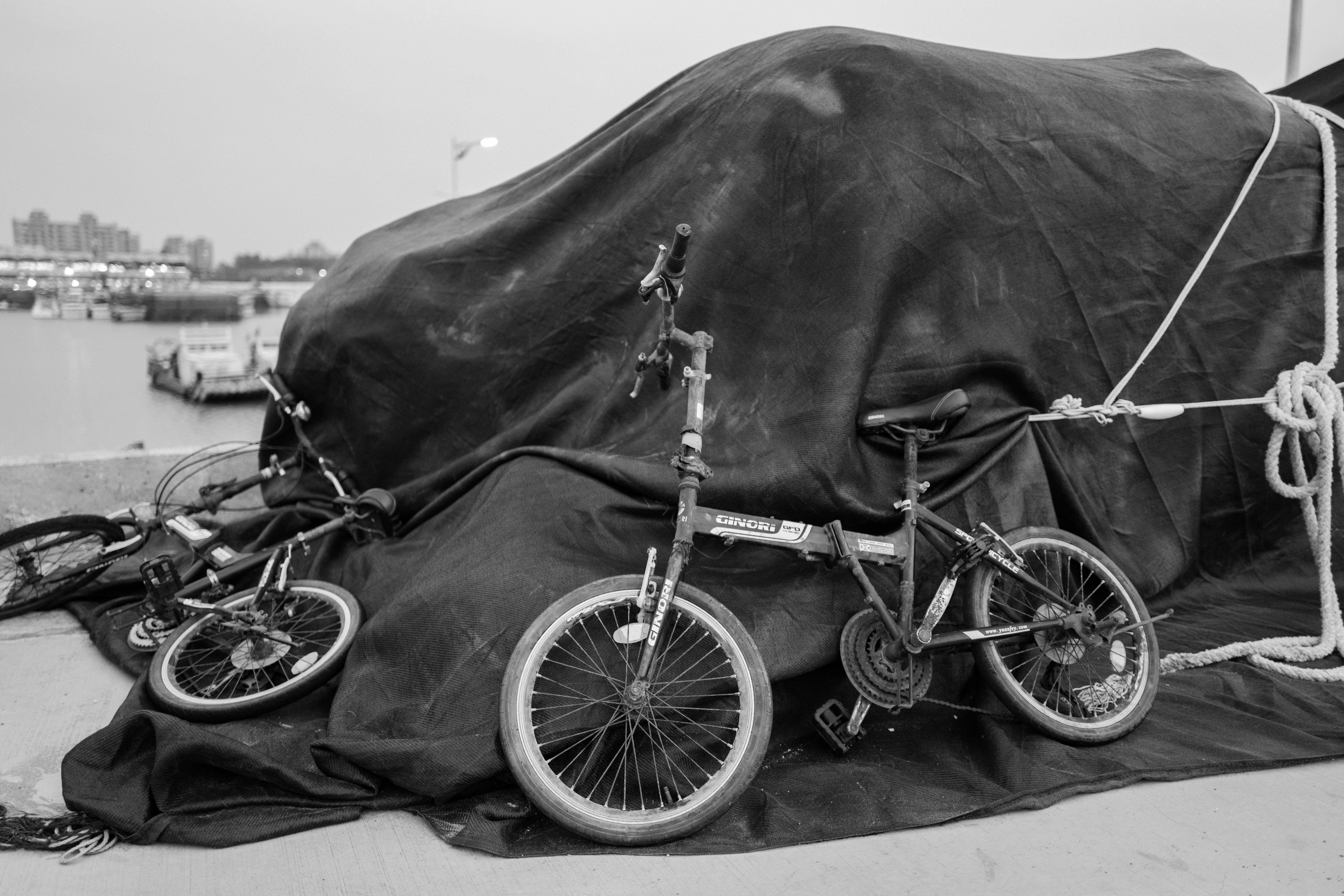 자손·자상 특약 비교, 보장 범위와 보험료 차이 핵심 요약