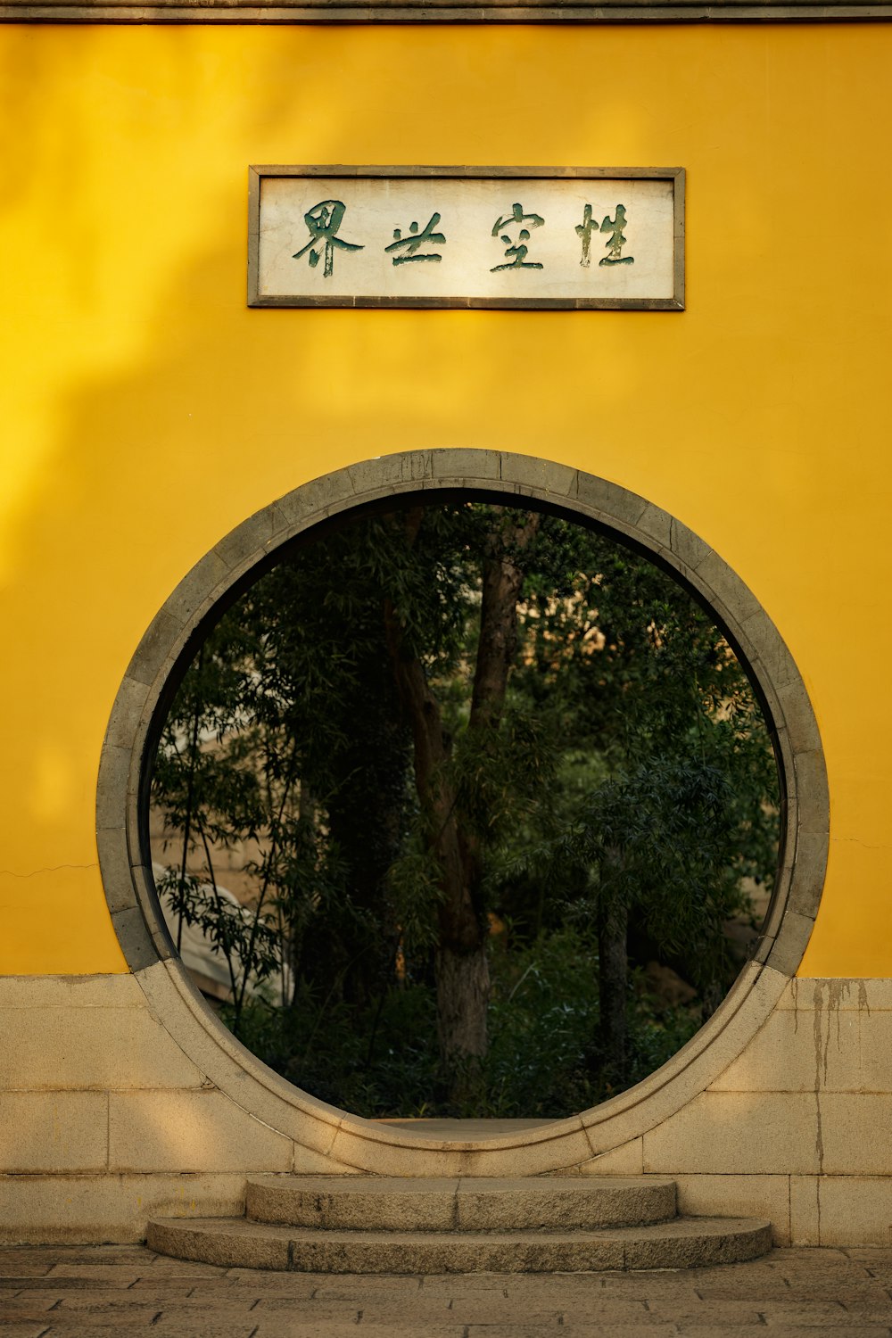 a reflection of a tree in a circular window