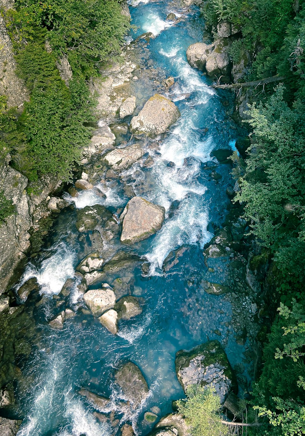 a river running through a lush green forest