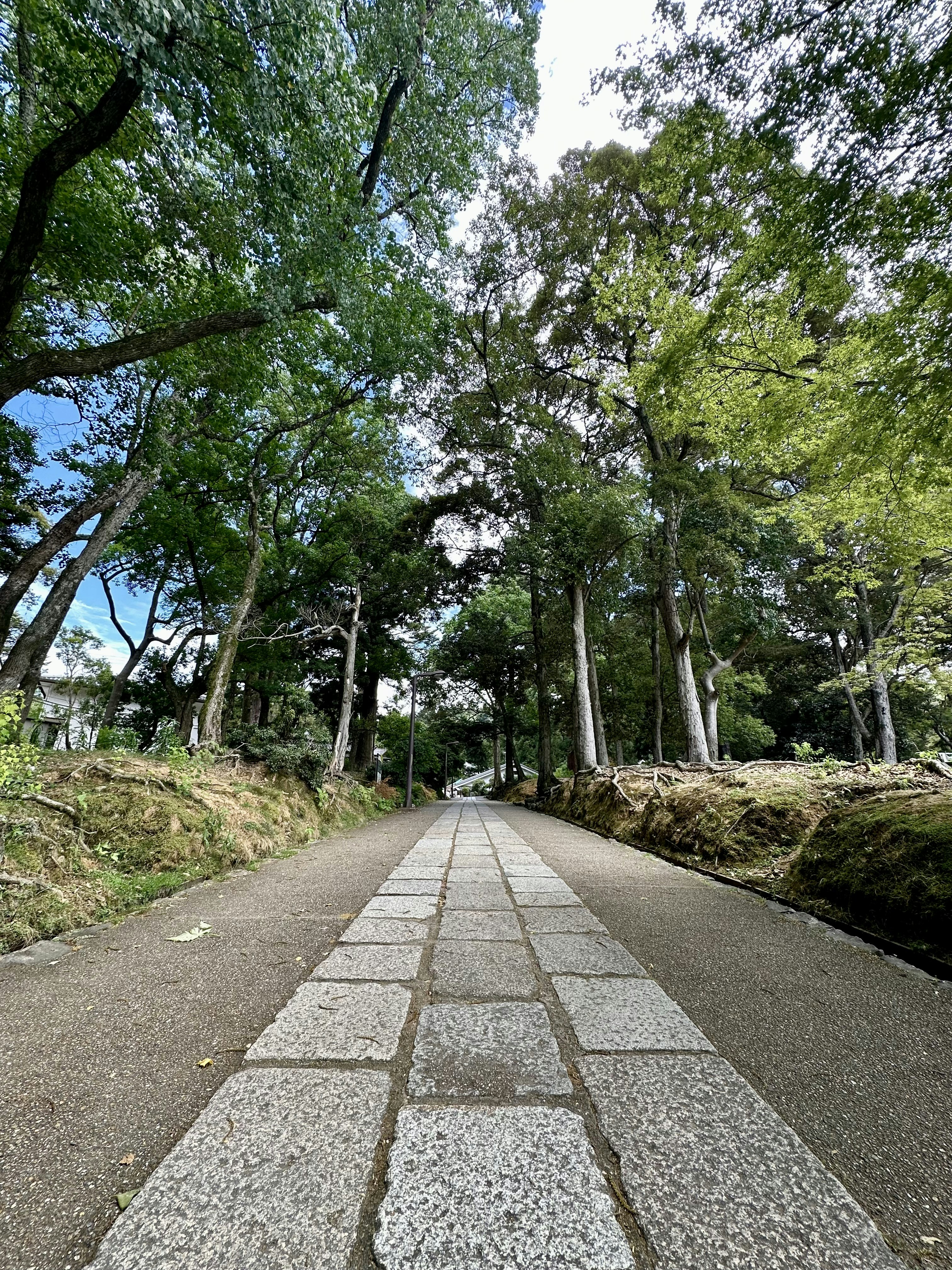 Photo by patrickcansnap