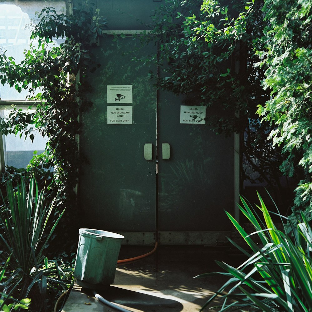 a green door surrounded by plants and trees