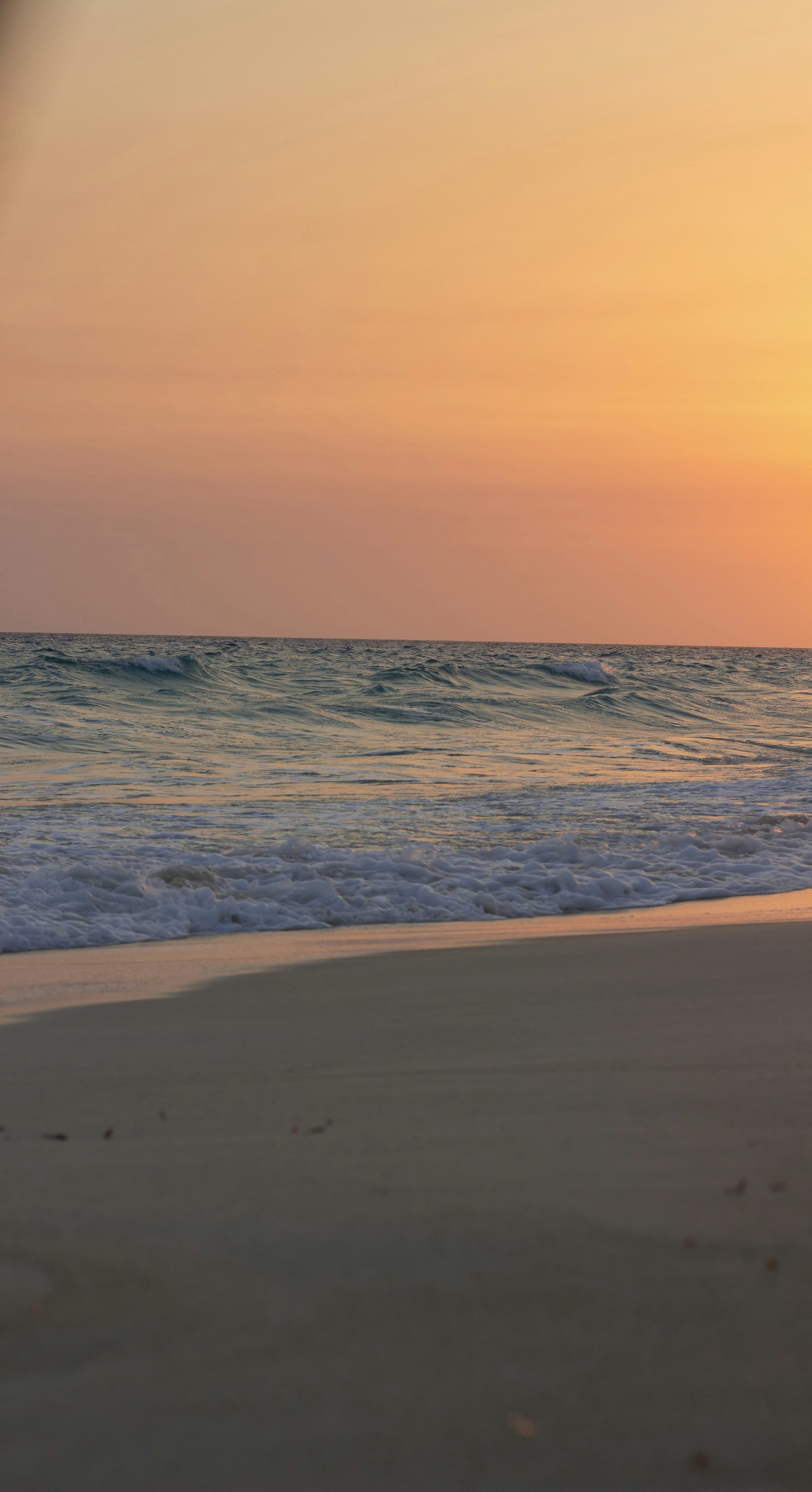 Photo by abdallatarek22