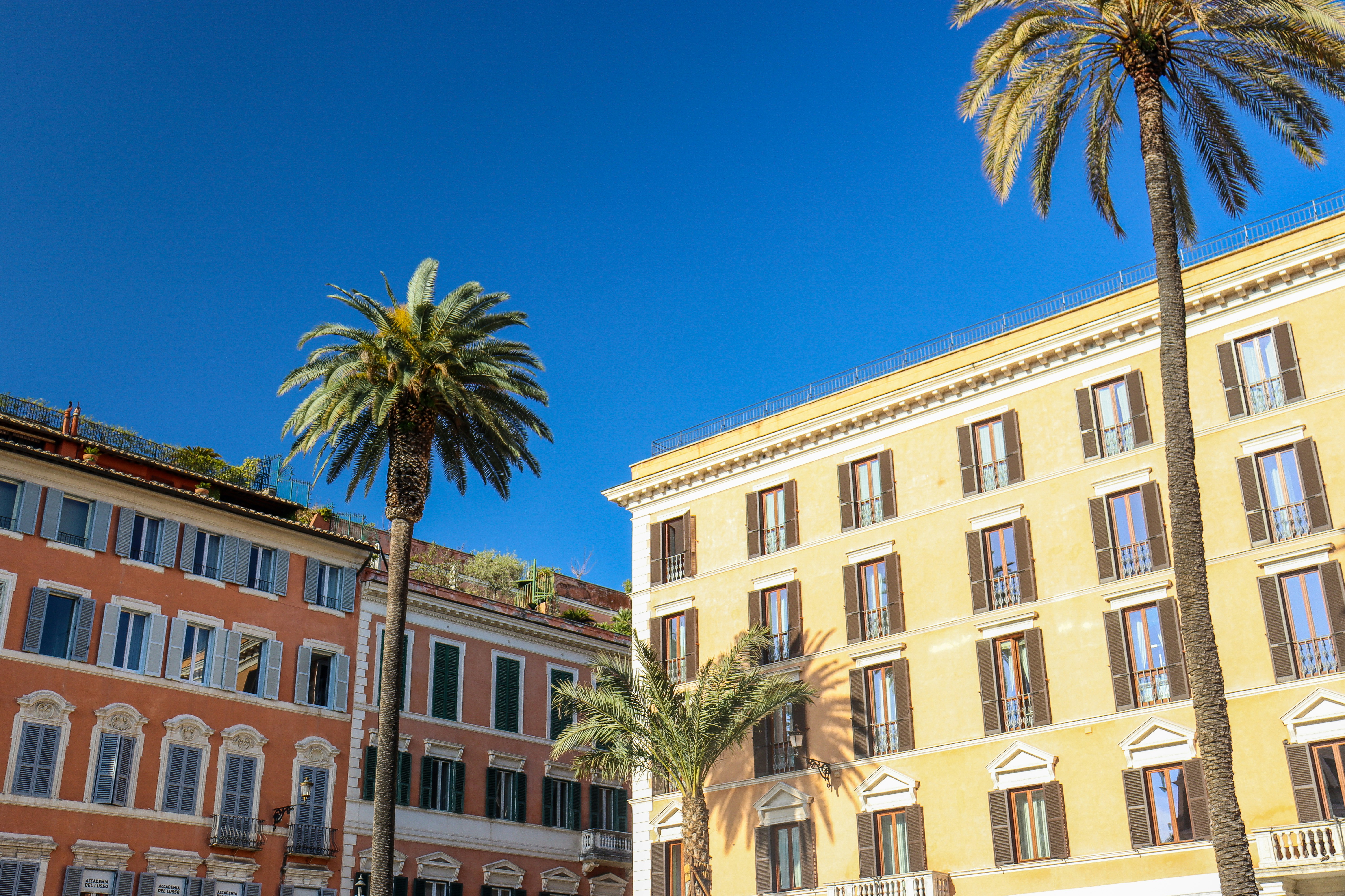 Photo by nicolearangolang