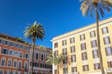 a row of buildings with palm trees in front of them