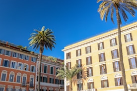 a row of buildings with palm trees in front of them