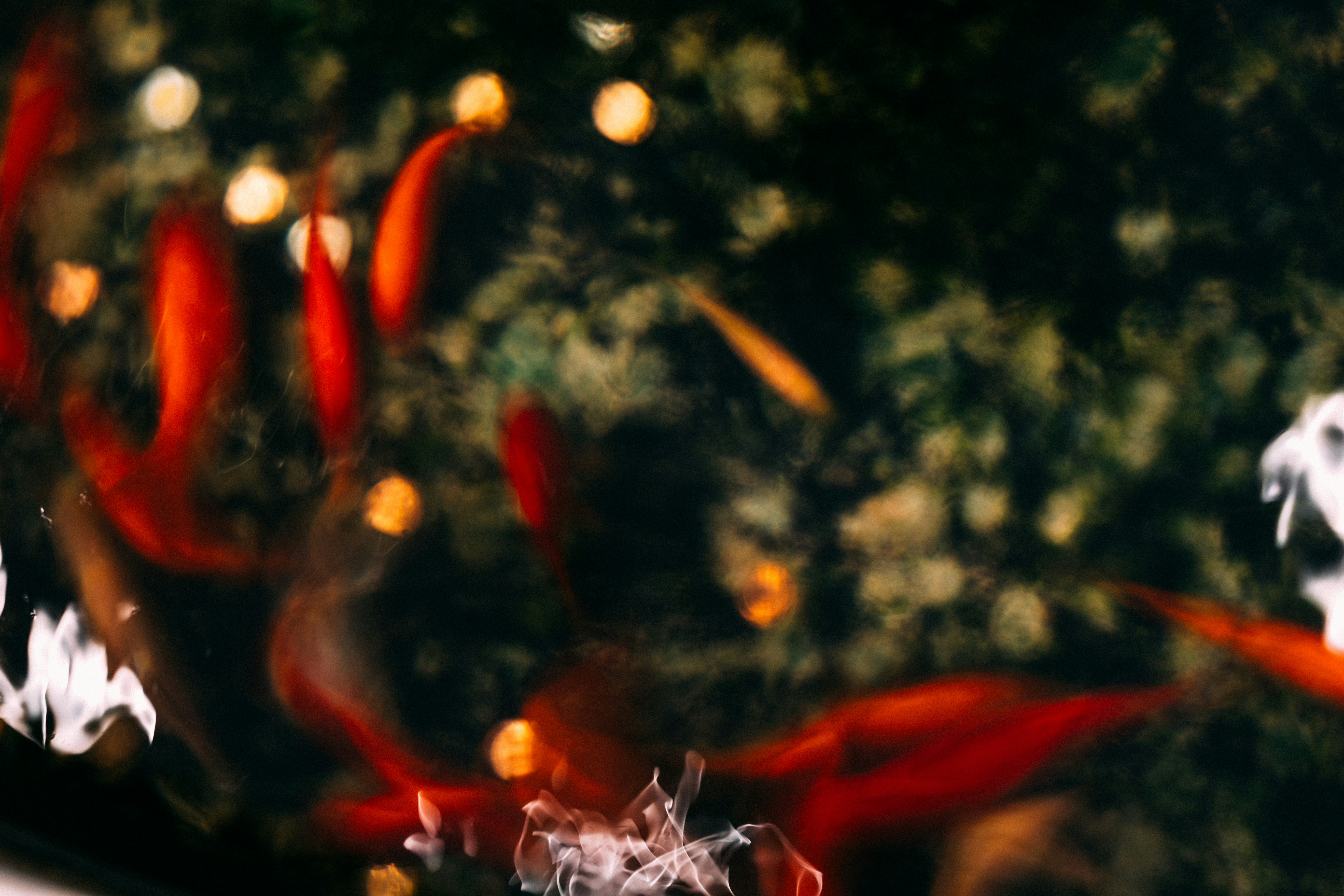 photo-1692731753564-5c44afb2123e