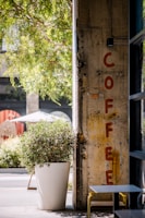 A concrete pillar with the word 'COFFEE' painted vertically in red letters. Next to the pillar is a large white planter containing a lush green plant. Sunlight filters through tree branches, casting shadows on the ground. There are tables and chairs nearby, suggesting an outdoor café setting.