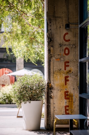 A concrete pillar with the word 'COFFEE' painted vertically in red letters. Next to the pillar is a large white planter containing a lush green plant. Sunlight filters through tree branches, casting shadows on the ground. There are tables and chairs nearby, suggesting an outdoor café setting.