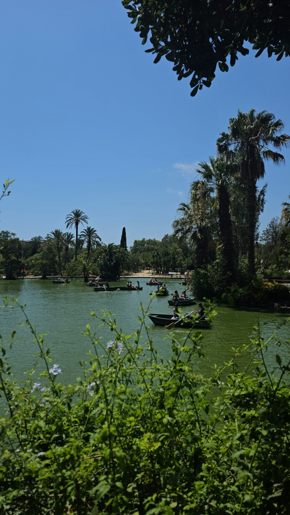 a body of water surrounded by palm trees