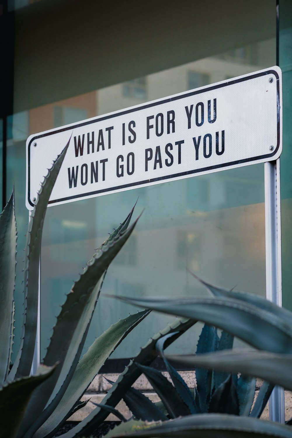 a street sign that says what is for you won't go past you